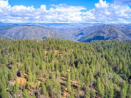 712 Bloomer Hill Rd, Berry Creek, CA 95916 Photo