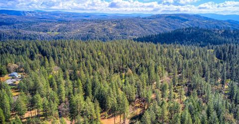 712 Bloomer Hill Rd, Berry Creek, CA 95916 Photo