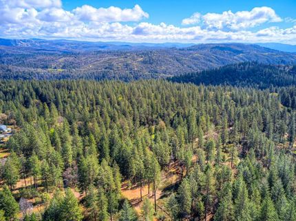 712 Bloomer Hill Rd, Berry Creek, CA 95916 Photo