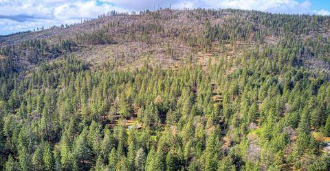 712 Bloomer Hill Rd, Berry Creek, CA 95916 Photo