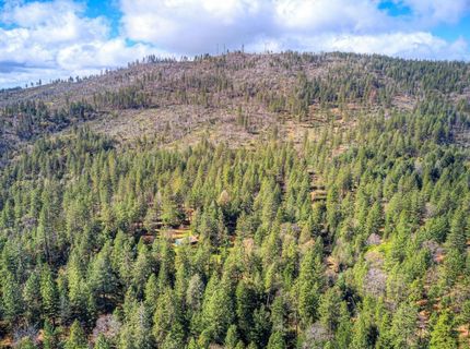 712 Bloomer Hill Rd, Berry Creek, CA 95916 Photo