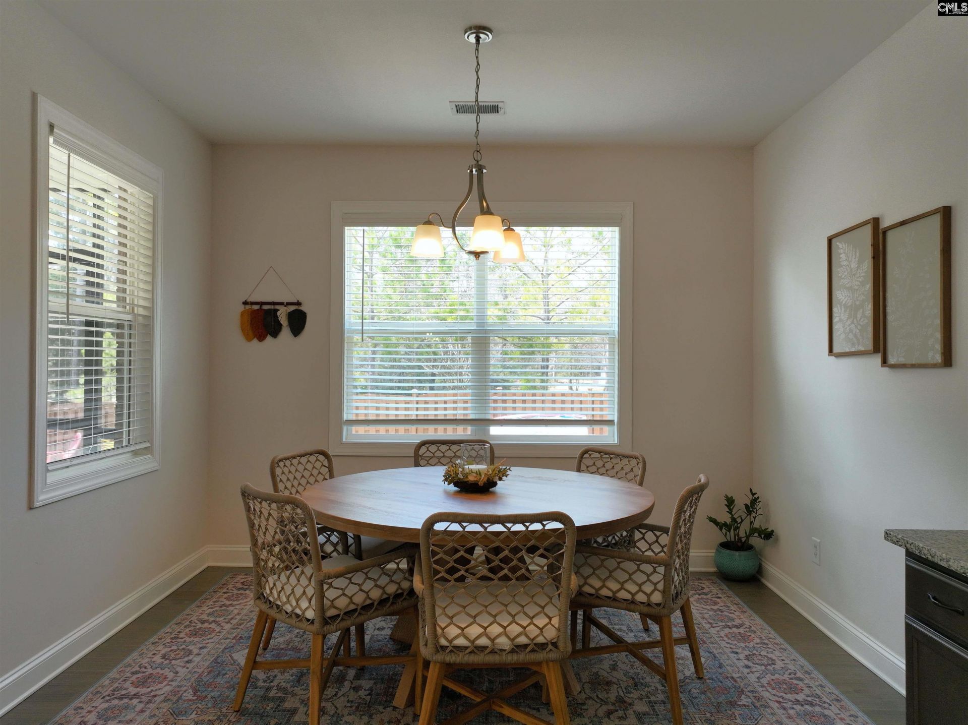 218 Chapin Brook Court Photo 14