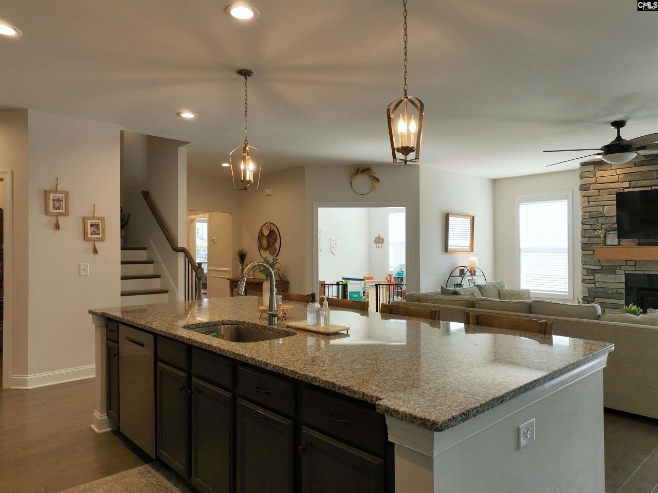 218 Chapin Brooke Court Photo 16