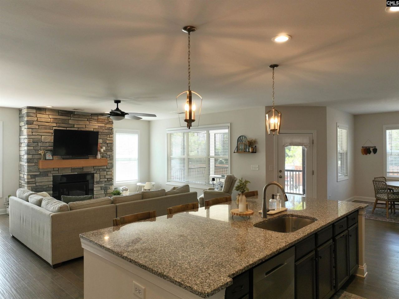 218 Chapin Brooke Court Photo 17