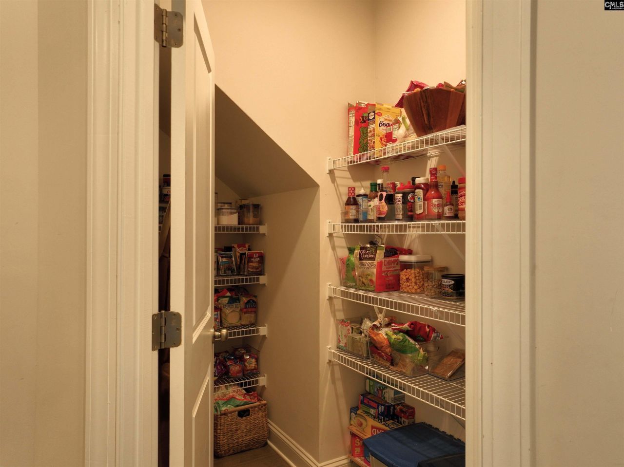 218 Chapin Brooke Court Photo 18