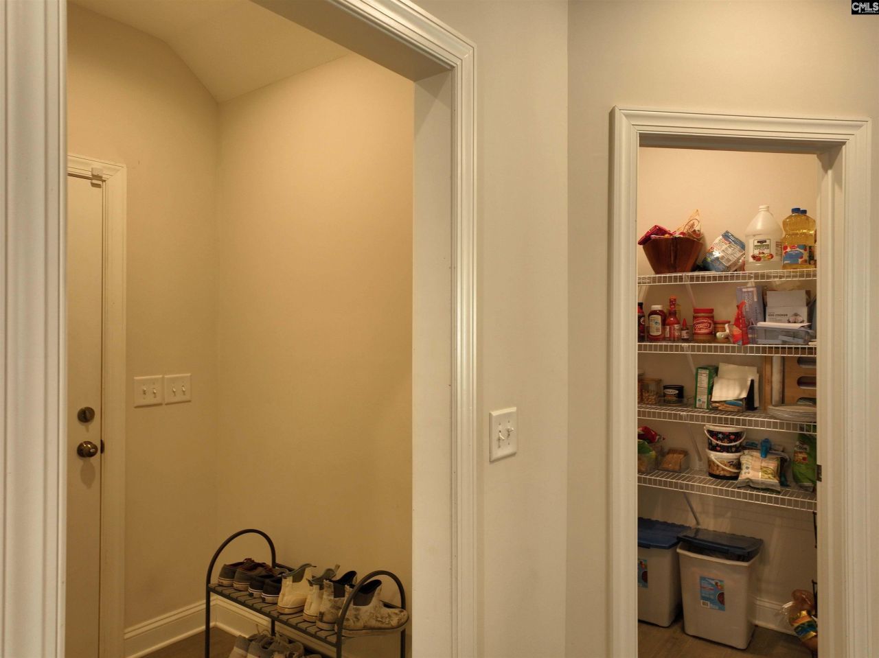 218 Chapin Brooke Court Photo 36