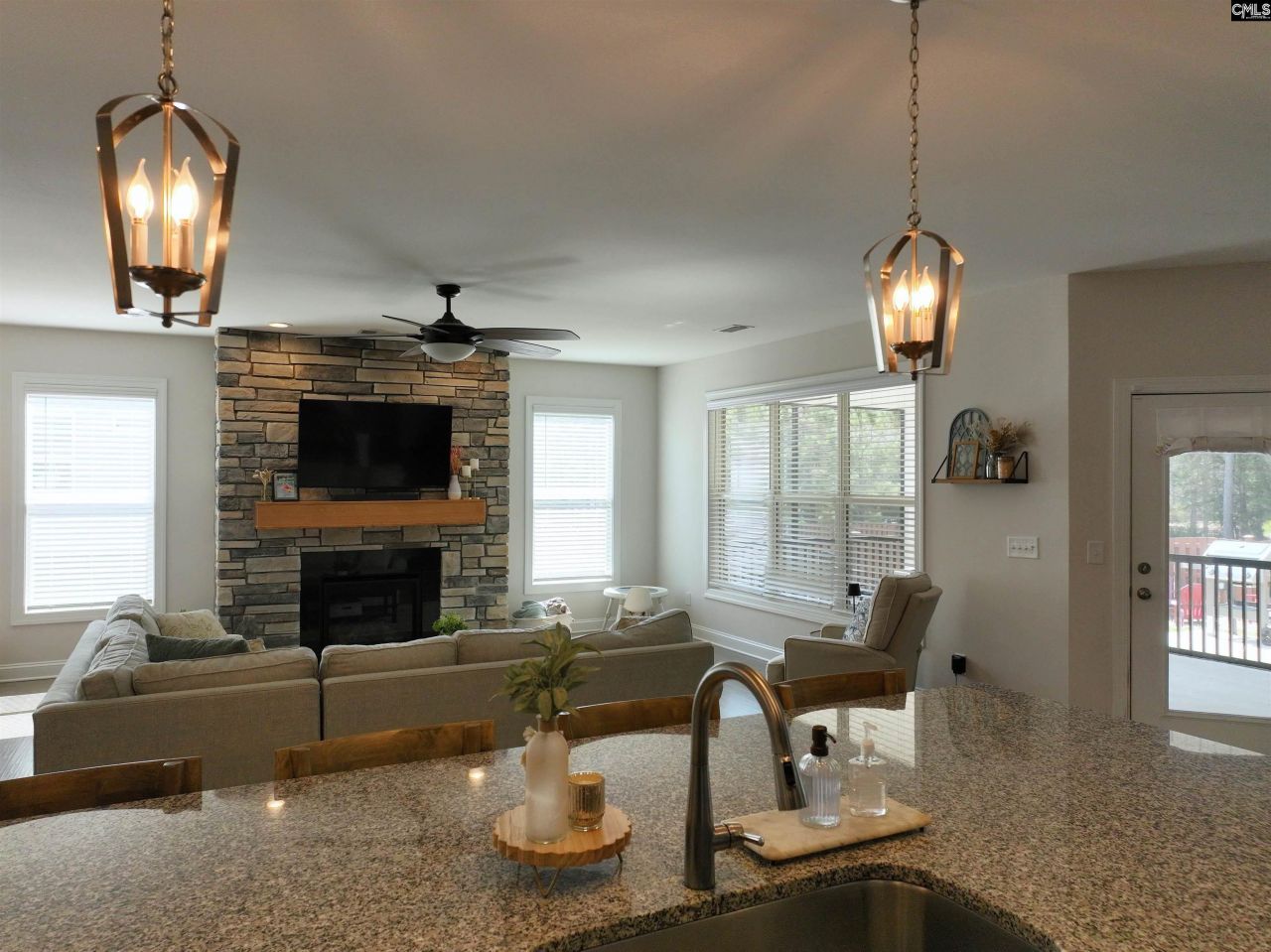 218 Chapin Brooke Court Photo 41