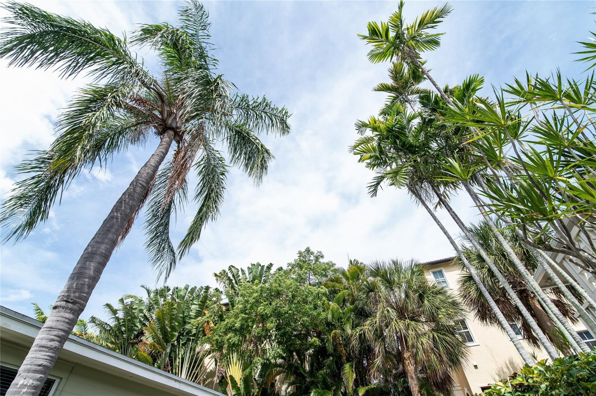 3230 NE 13th Street, Unit 203, Pompano Beach, FL 33062 Photo