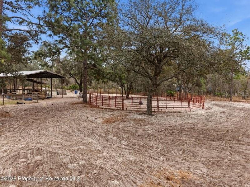 12124 Squeeze Avenue, Brooksville, FL 34614 Photo