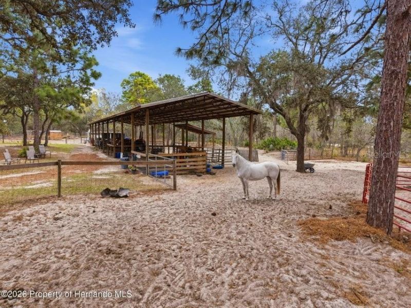 12124 Squeeze Avenue, Brooksville, FL 34614 Photo