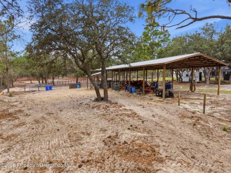 12124 Squeeze Avenue, Brooksville, FL 34614 Photo