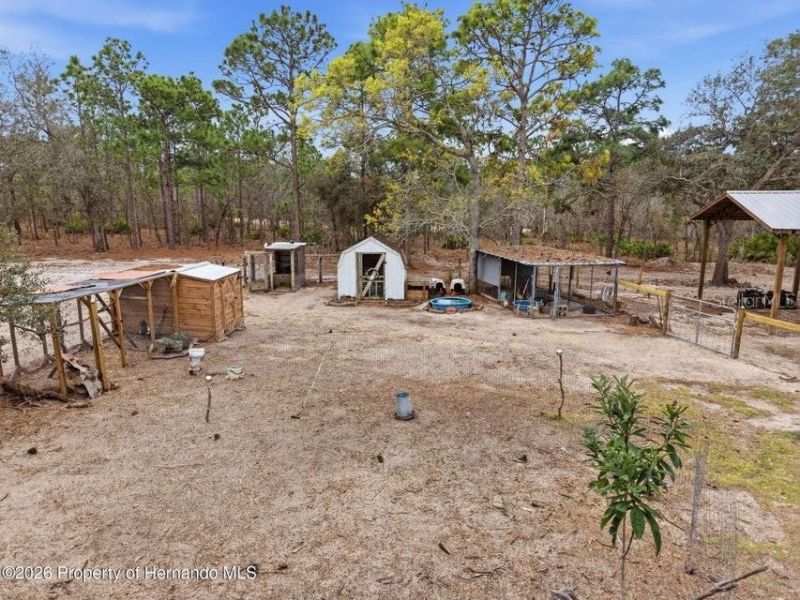 12124 Squeeze Avenue, Brooksville, FL 34614 Photo