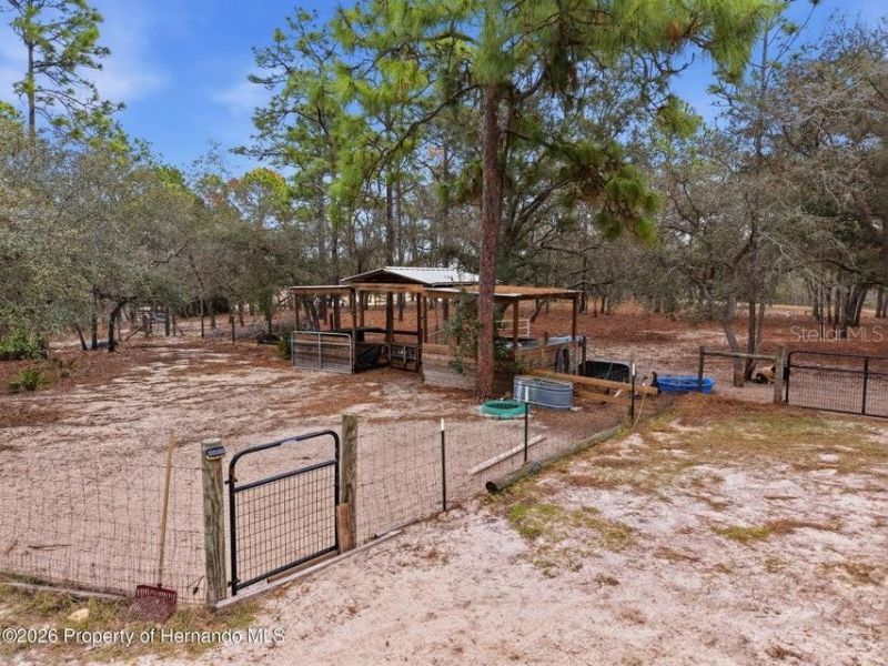 12124 Squeeze Avenue, Brooksville, FL 34614 Photo