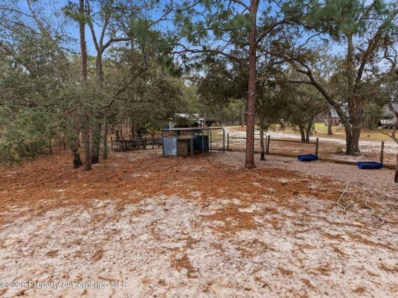 12124 Squeeze Avenue, Brooksville, FL 34614 Photo