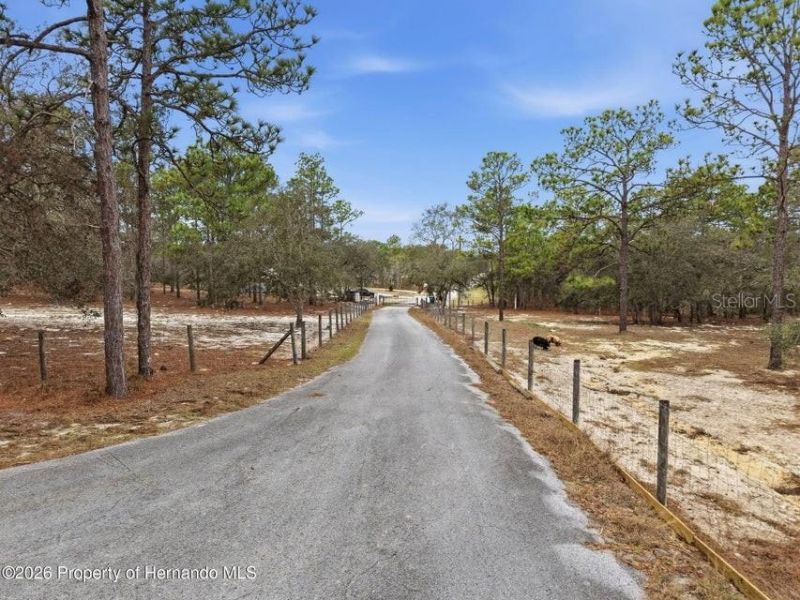 12124 Squeeze Avenue, Brooksville, FL 34614 Photo