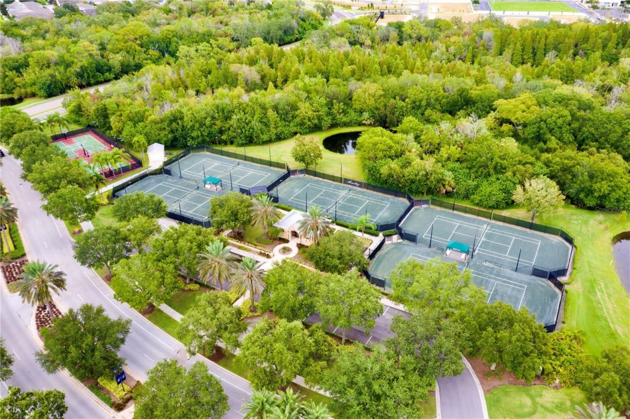 813 Manns Harbor Drive, Apollo Beach, FL 33572 Photo