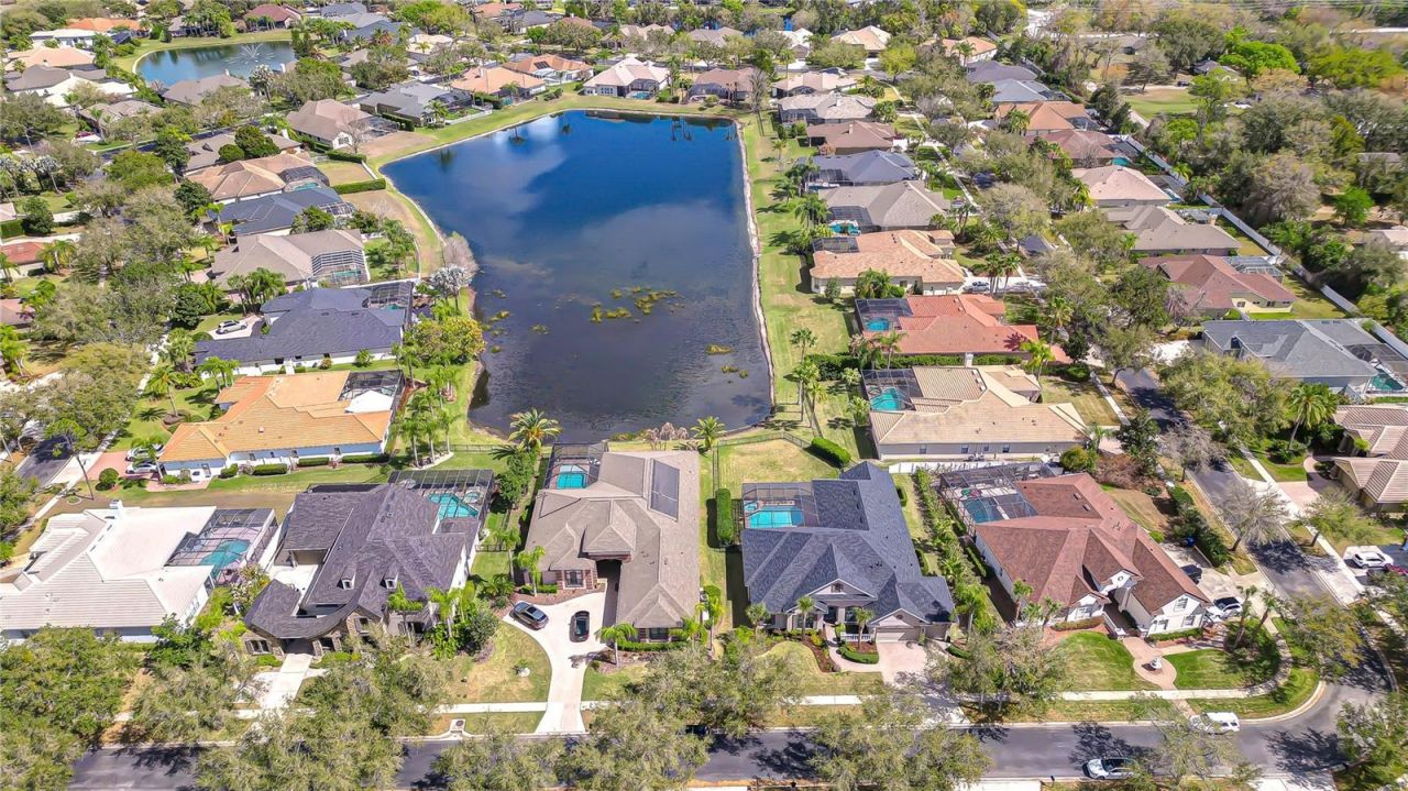 20627 Broadwater Drive, Land O Lakes, FL 34638 Photo