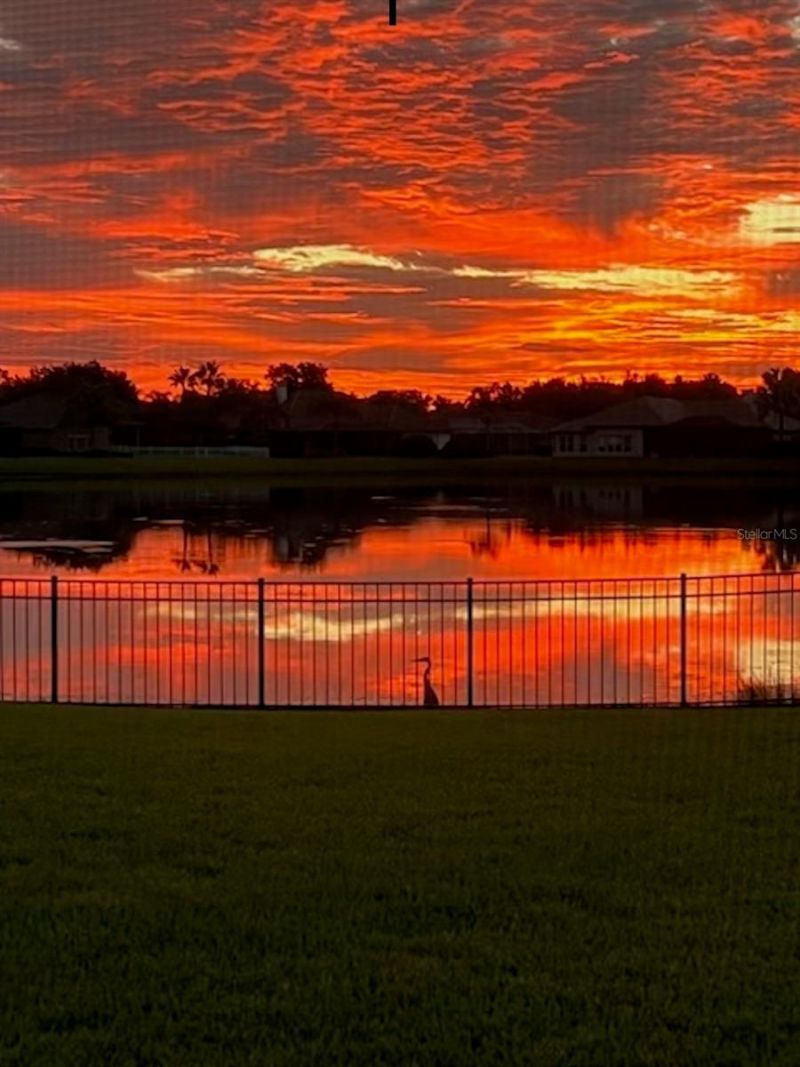 20627 Broadwater Drive, Land O Lakes, FL 34638 Photo