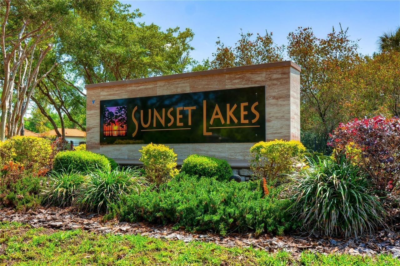 20627 Broadwater Drive, Land O Lakes, FL 34638 Photo