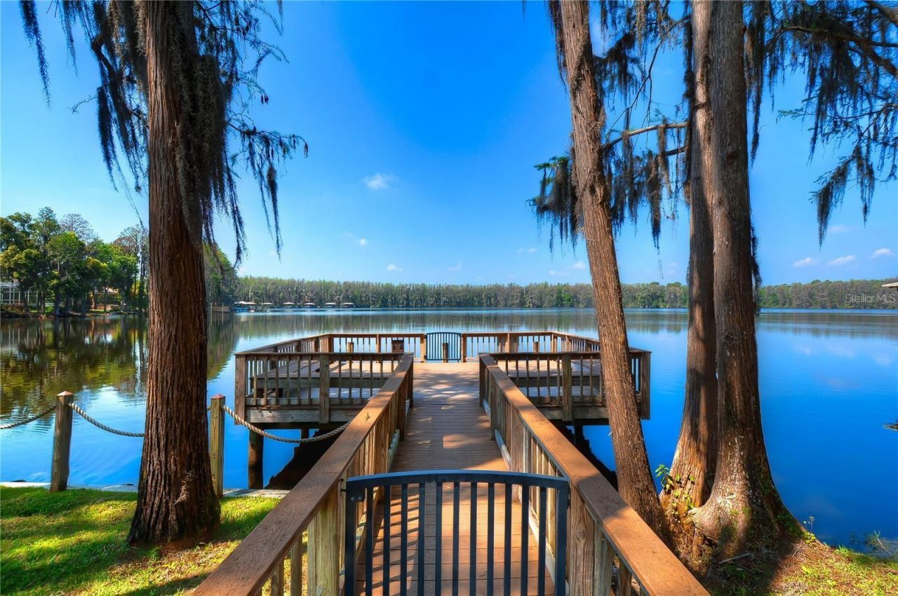 20627 Broadwater Drive, Land O Lakes, FL 34638 Photo