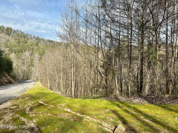 1423 Mountain Dreams Way, Sevierville, TN 37862