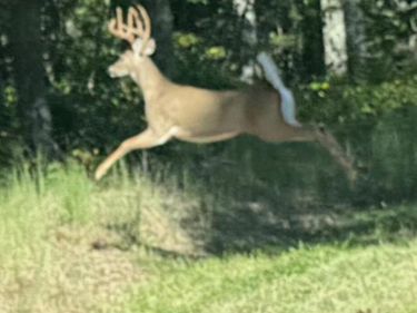 2570 Amos Ridge Road, Frenchburg, KY 40322