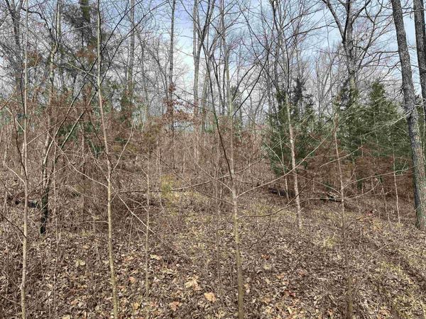 00 Endline Road, Marshall, AR 72650