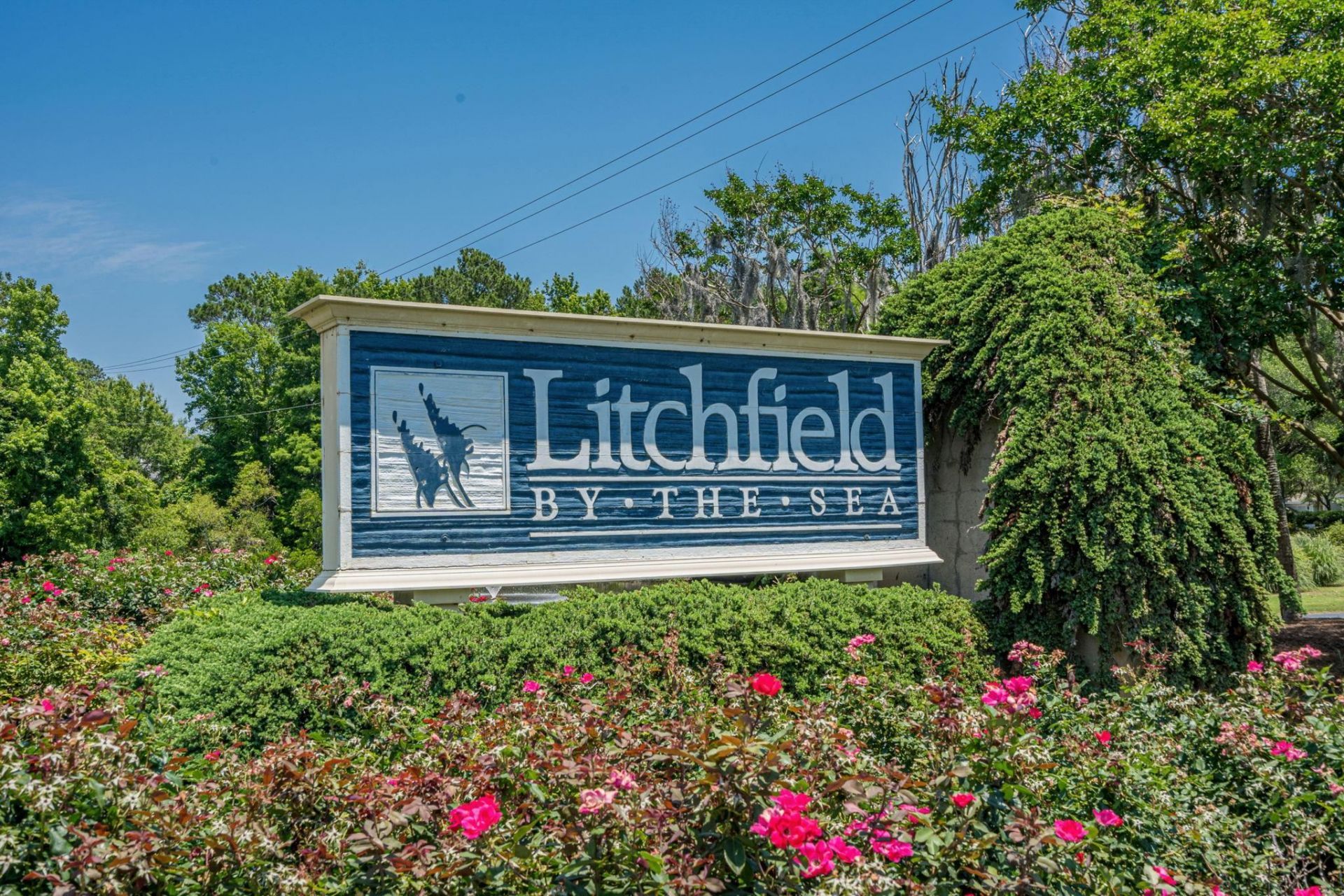 14290 Ocean Highway Photo 41