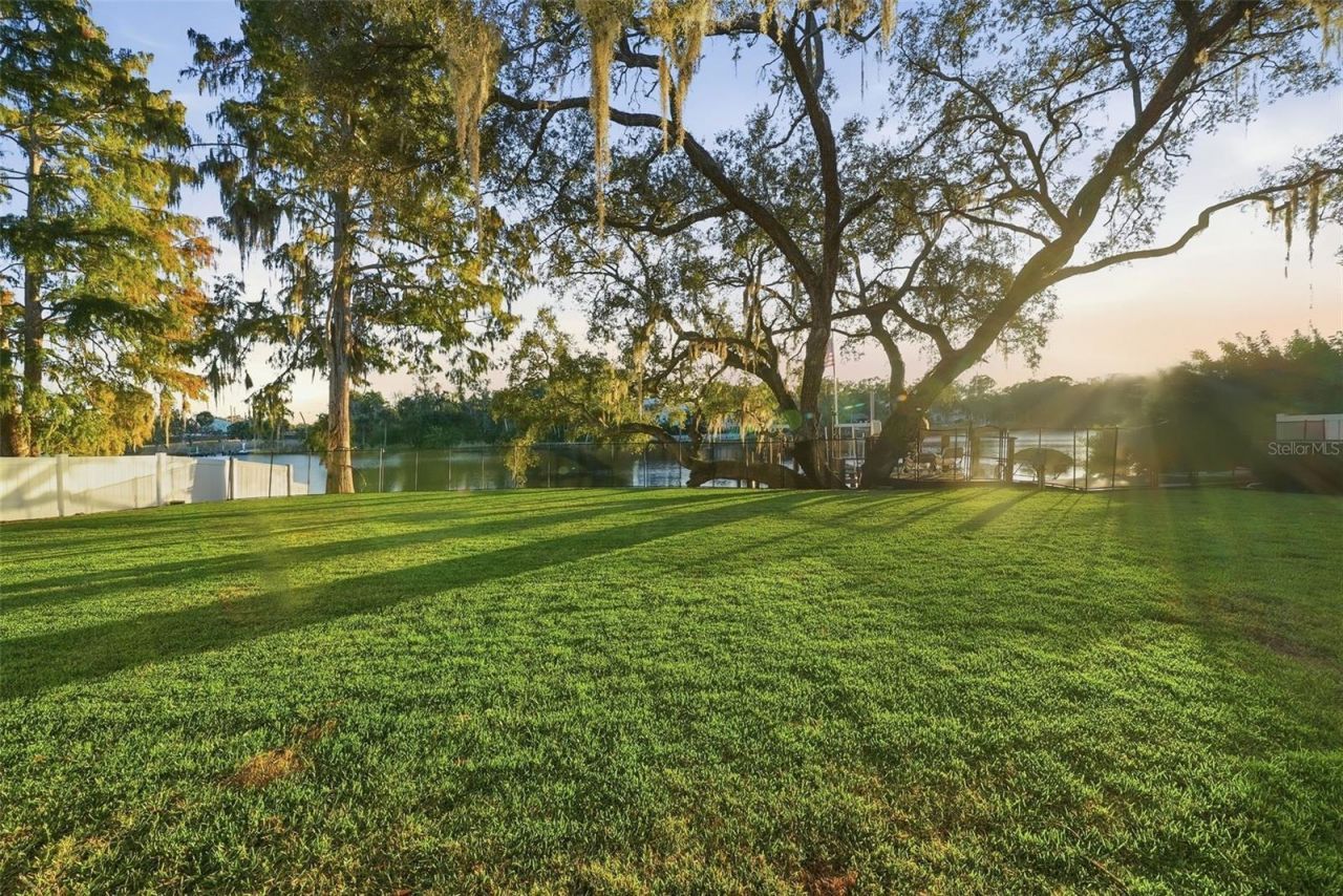 344 W Rio Vista Court, Tampa, FL 33604 Photo