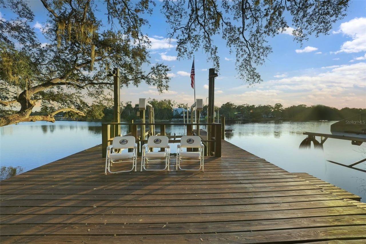 344 W Rio Vista Court, Tampa, FL 33604 Photo