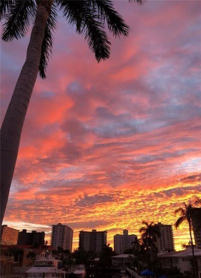 3201 NE 36th Street, Unit 17, Fort Lauderdale, FL 33308 Photo