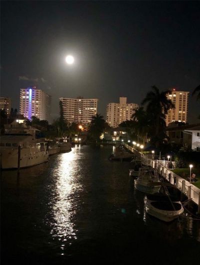 3201 NE 36th Street, Unit 17, Fort Lauderdale, FL 33308 Photo