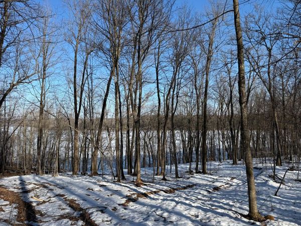 TBD Balsam Drive , Birchwood, WI 54817