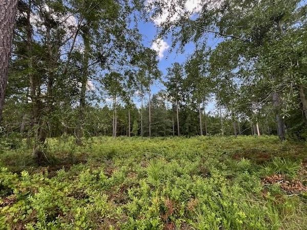 19 Windmill Palm , Brunswick, GA 31523