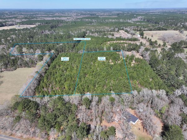 Tracts 2 and 3 Scott Rd, Leesville, LA 71446