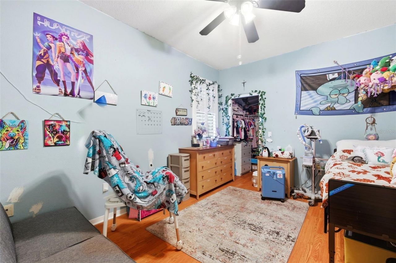 8131 Lucidul Court, Trinity, FL 34655 Photo