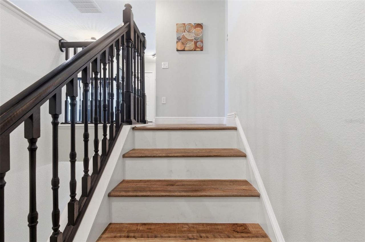 8131 Lucidul Court, Trinity, FL 34655 Photo