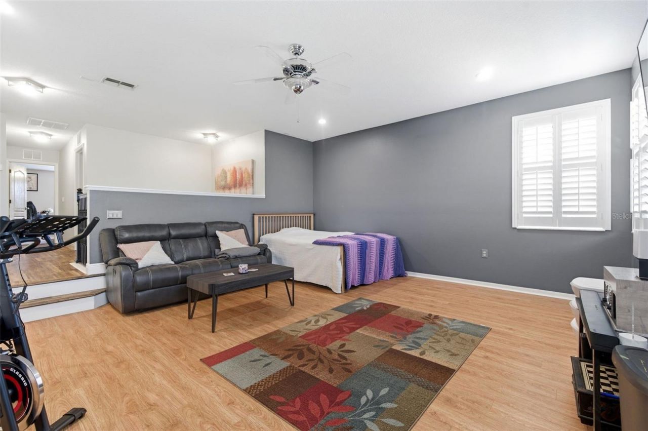 8131 Lucidul Court, Trinity, FL 34655 Photo