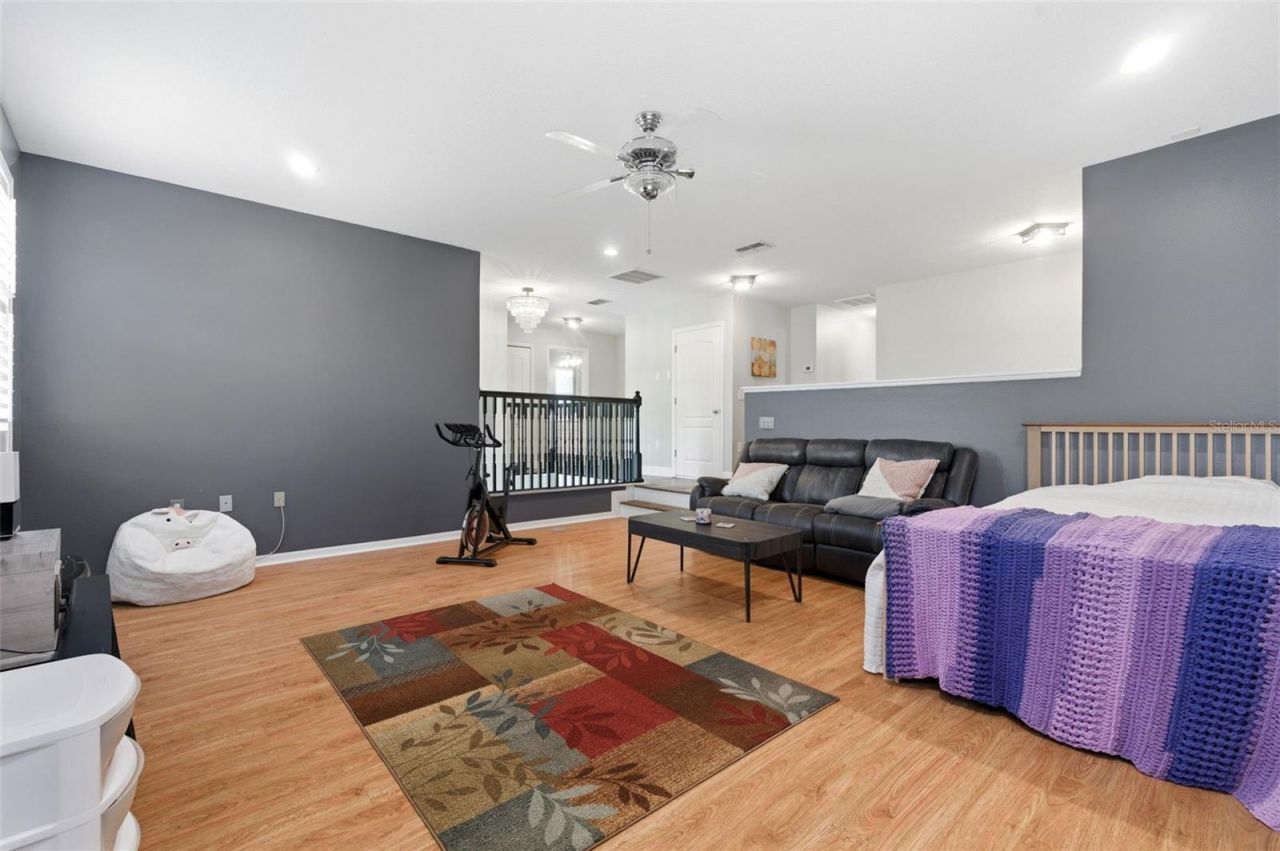 8131 Lucidul Court, Trinity, FL 34655 Photo