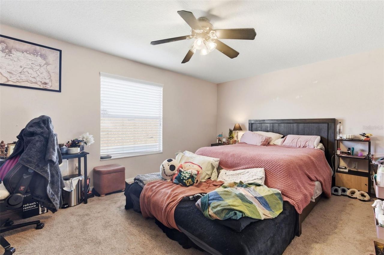 8131 Lucidul Court, Trinity, FL 34655 Photo