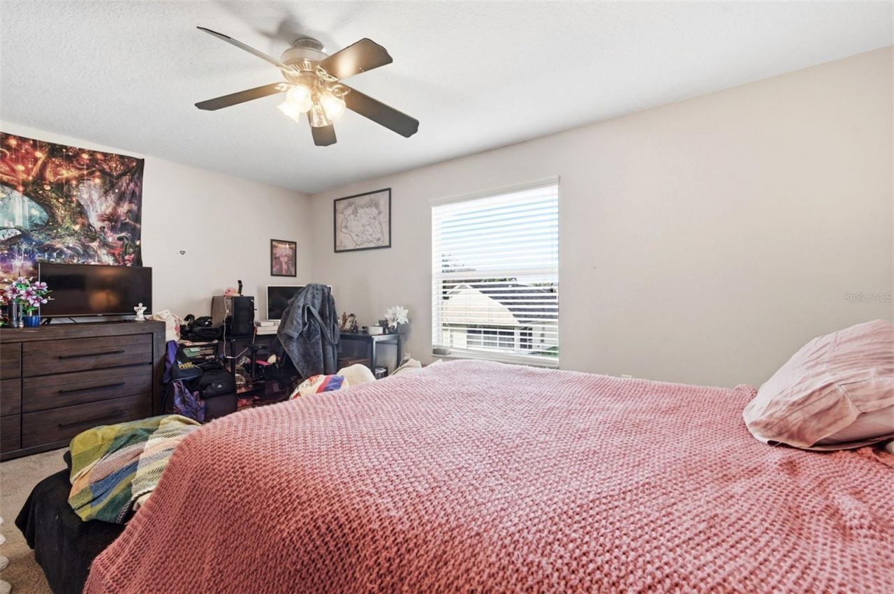 8131 Lucidul Court, Trinity, FL 34655 Photo