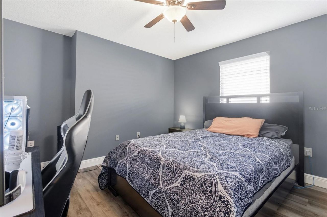 8131 Lucidul Court, Trinity, FL 34655 Photo