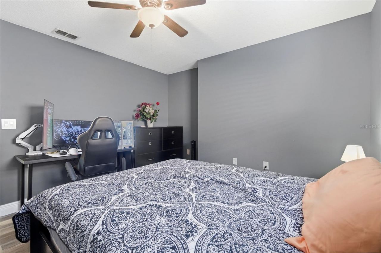 8131 Lucidul Court, Trinity, FL 34655 Photo