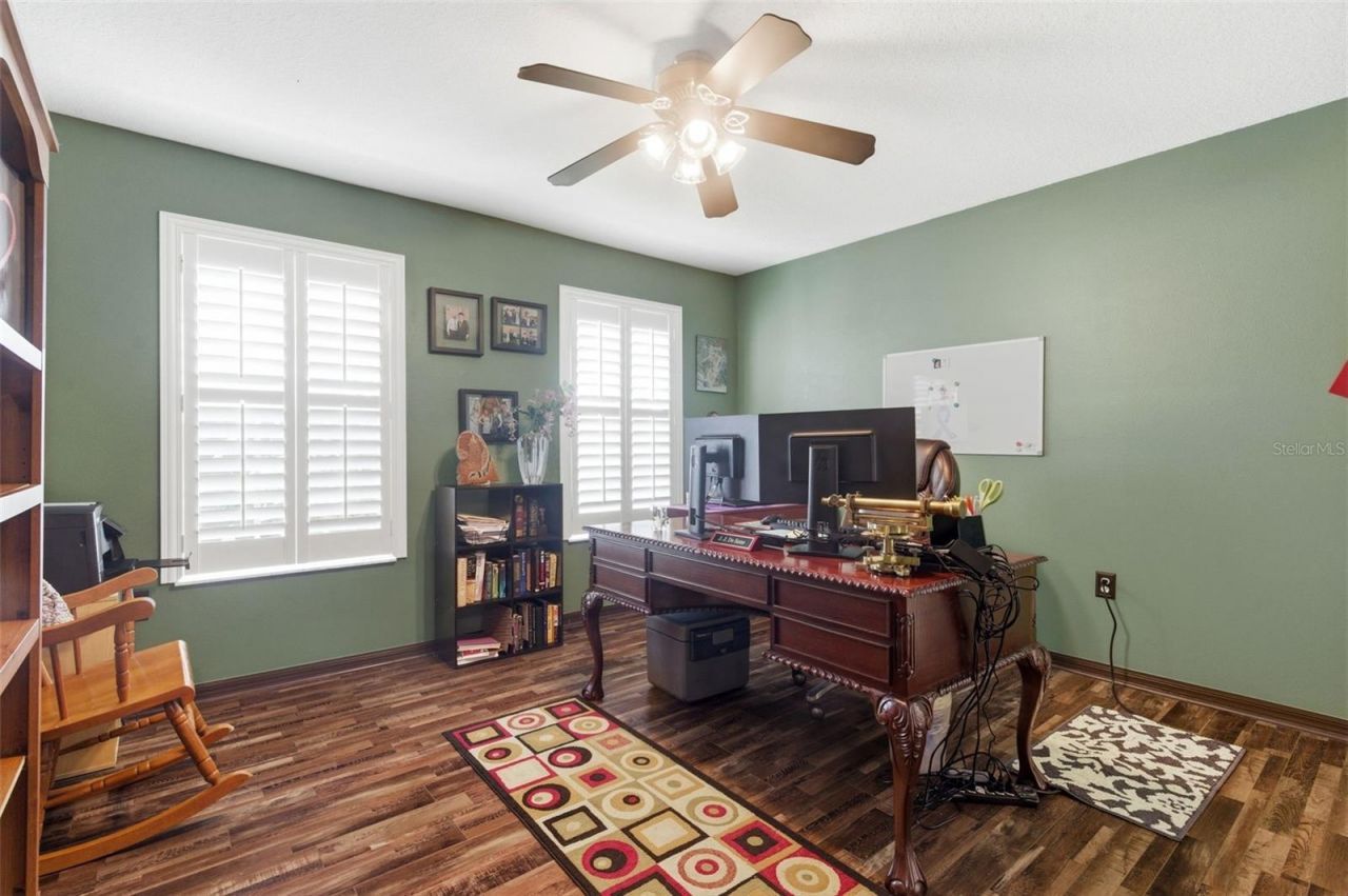 8131 Lucidul Court, Trinity, FL 34655 Photo