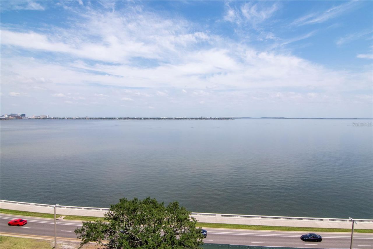 3101 W Bayshore Boulevard, Unit 804, Tampa, FL 33629 Photo