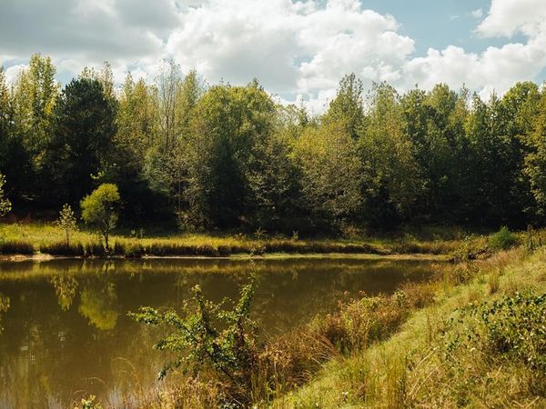 00 Henderson Rd, Batesville, MS 38606