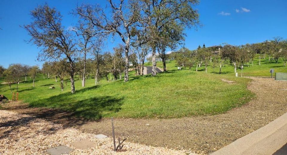 2 Moss Wood, Copperopolis, CA 95228 Photo