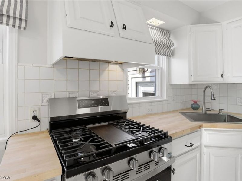 1390 Brainard Road, Lyndhurst, OH 44124 Photo 15