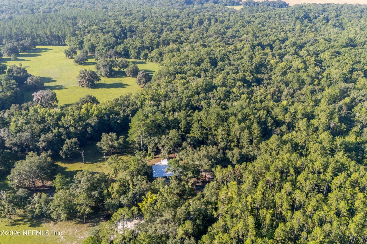 11309 SW 167th Circle, Brooker, FL 32622 Photo