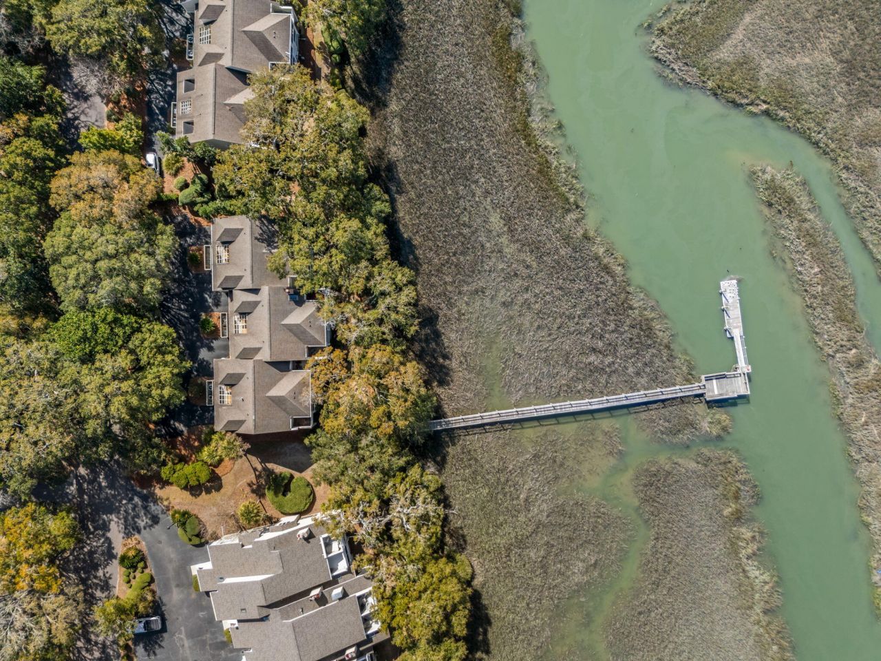 1723 Live Oak Park Photo 28